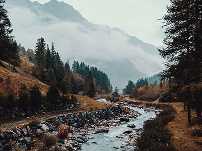韩漫屋想转发前：先看结论是不是太满，再把证据列成条（像做句子拆壳）