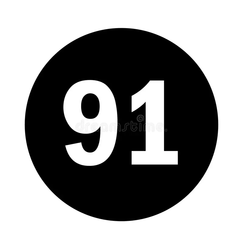 91网页浏览器免费版