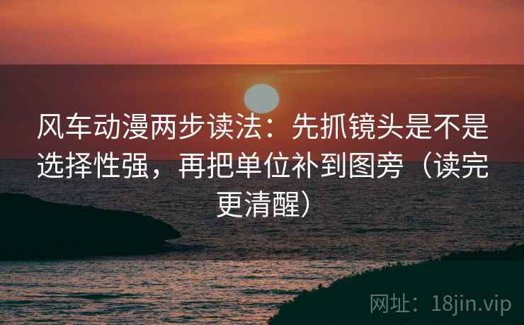 风车动漫两步读法：先抓镜头是不是选择性强，再把单位补到图旁（读完更清醒）  第2张