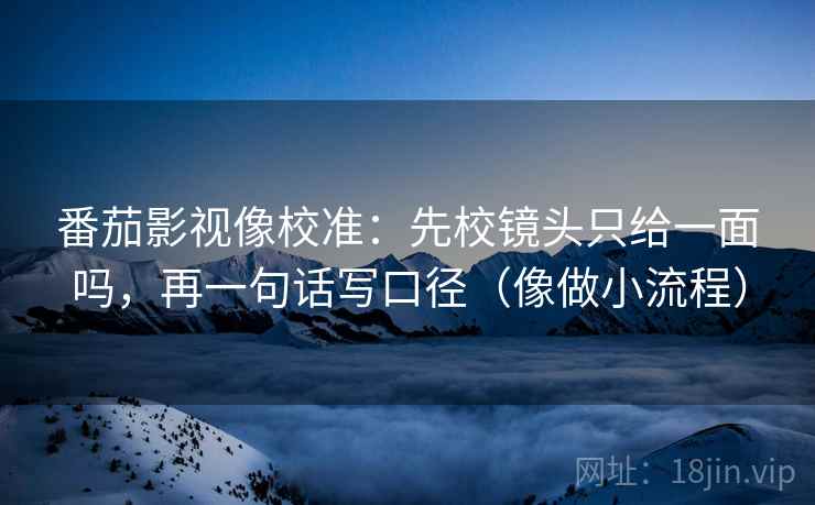 番茄影视像校准：先校镜头只给一面吗，再一句话写口径（像做小流程）  第2张